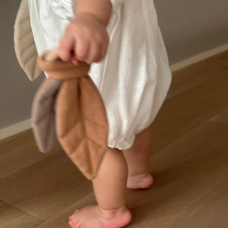 Leaf_Teether