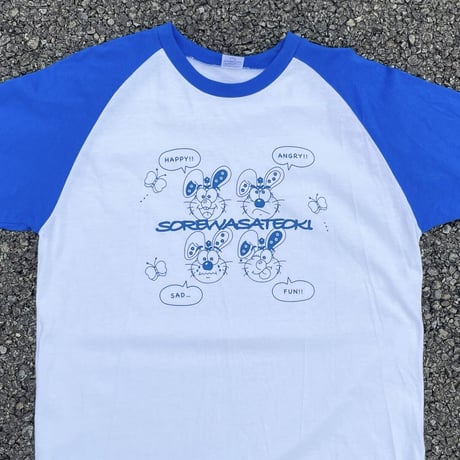 ❗️Vista raglan T-shirt❗️💙BLUE💙