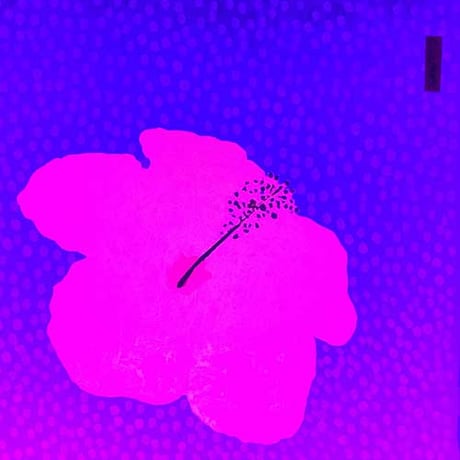 akabana_004