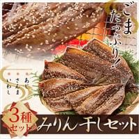 3種×2枚【6枚】　みりん干しセット