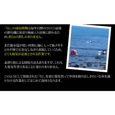 長崎県　壱岐産　甘塩うに　50ｇ瓶入り　3本セット