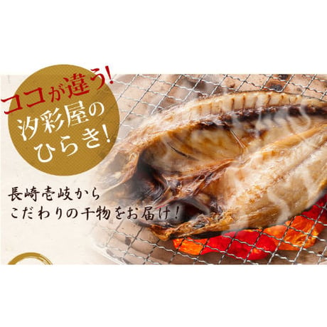 干物　3種（6枚）　セット