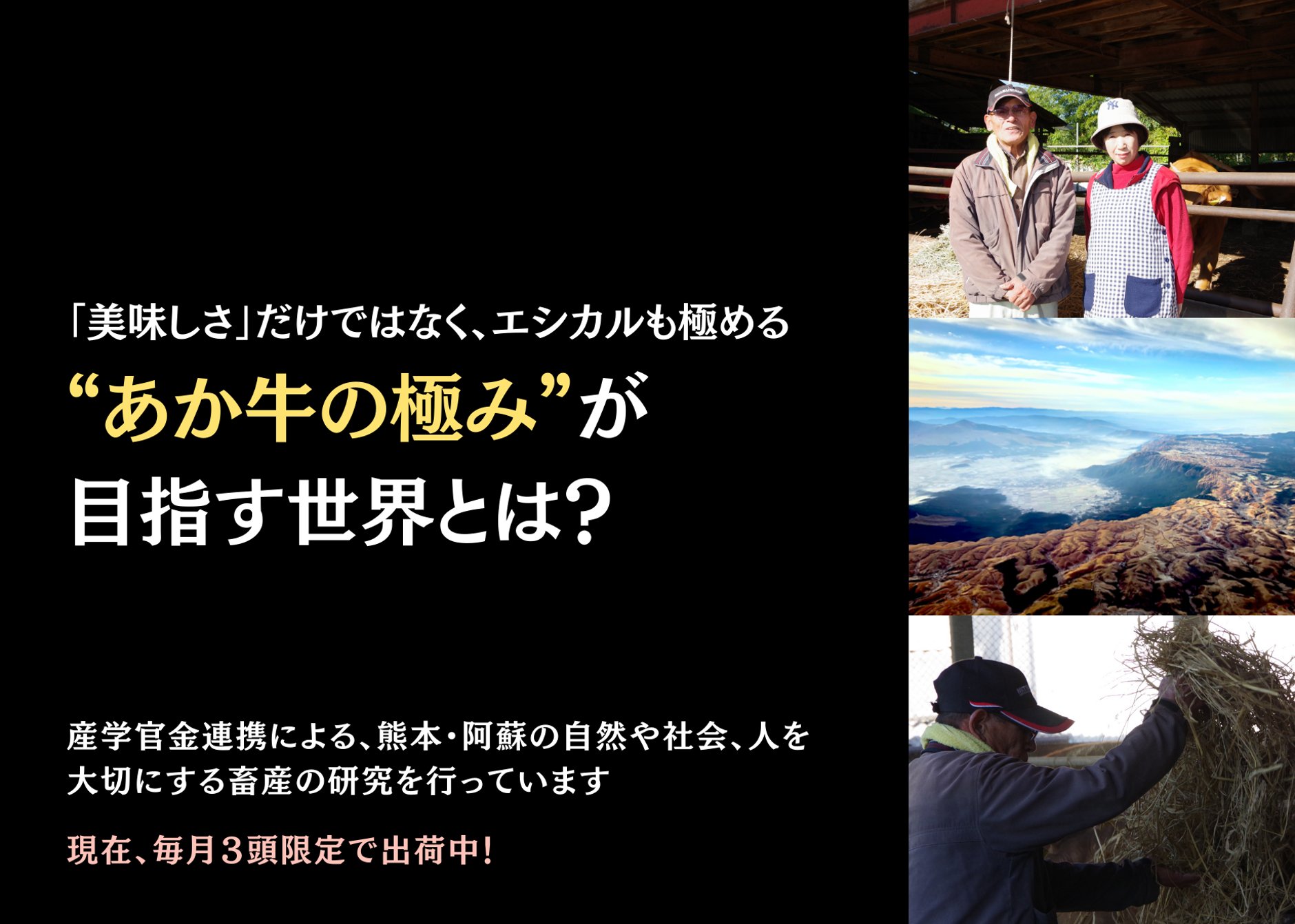 あか牛の極み肉店（くまもとあか牛プロジェクト公式EC）