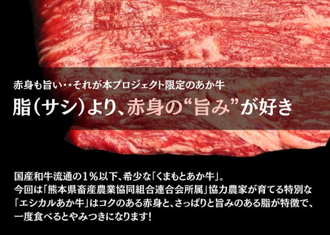 【エシカル和牛】あか牛の極み・カタ・すき焼き用【600g】KK6 ＜瞬冷個装200gx3袋＞