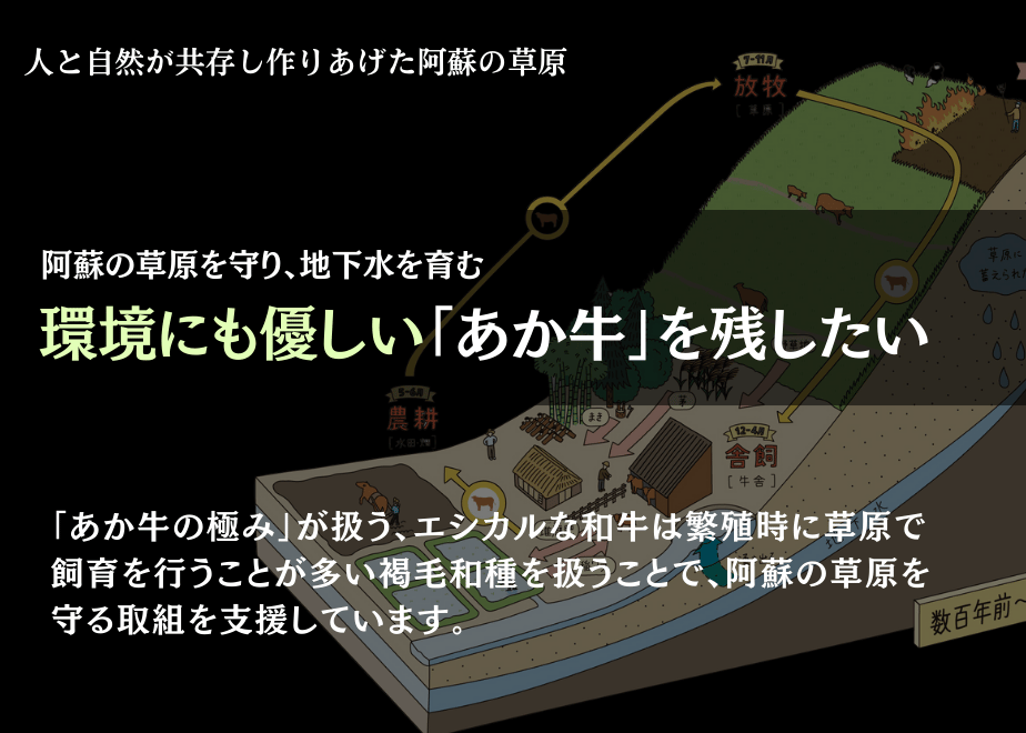 68c90d6e2fa52a3e5166276b