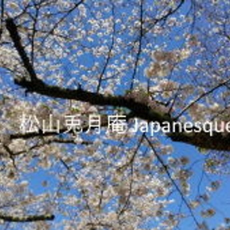 桜　満開の桜　桜の花　桜と空　日本　素材ダウンロード