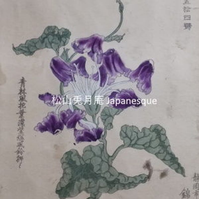 朝顔の絵 青林風抱葉濃紫総風鈴獅子 版画 日本 素材ダウンロード