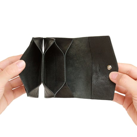 acordion card case (black)