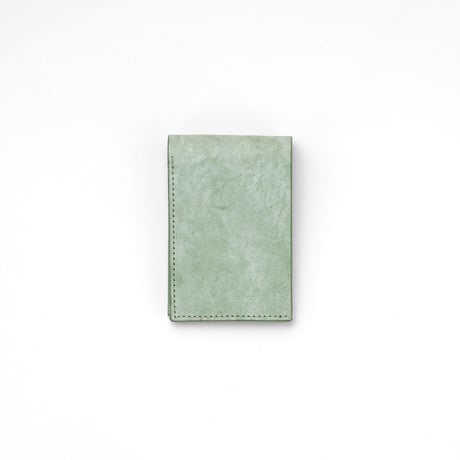 Receipt wallet +500(white/oasis green)