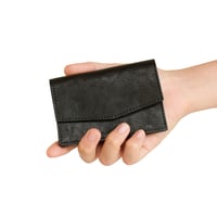 acordion card case (black)