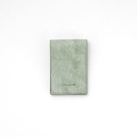 Receipt wallet +500(white/oasis green)