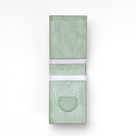 Receipt wallet +500(white/oasis green)