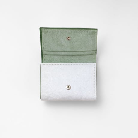 wd2102 / Trifold wallet(white/oasis green)