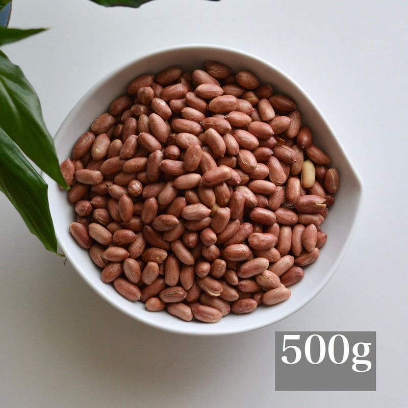 国産落花生(500g) /生産地 静岡県浜松市 | 落花生 むらさき