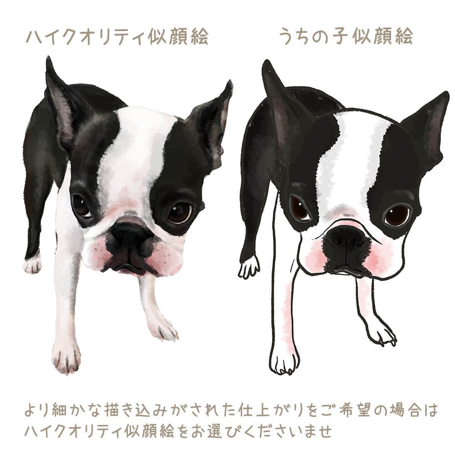 6218dac71dca325564682950