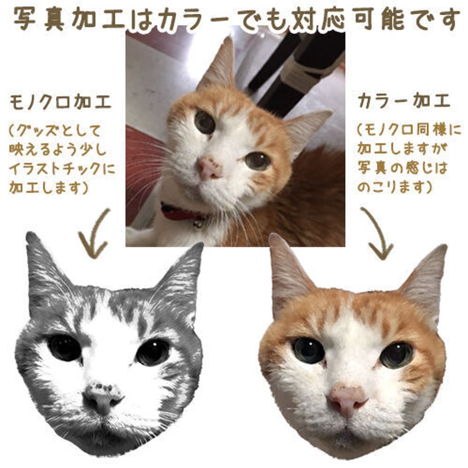 60c77185933e9b374955ef63