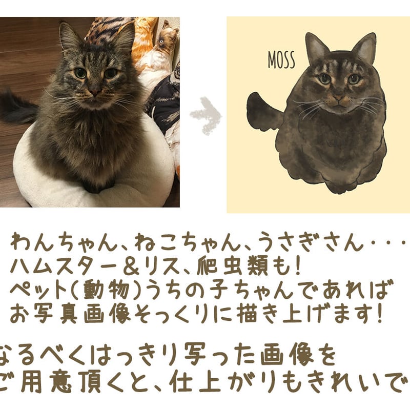 三毛猫様専用ページ