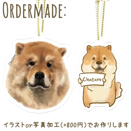 【うちの子グッズ】アクリルボールチェーン５個セット