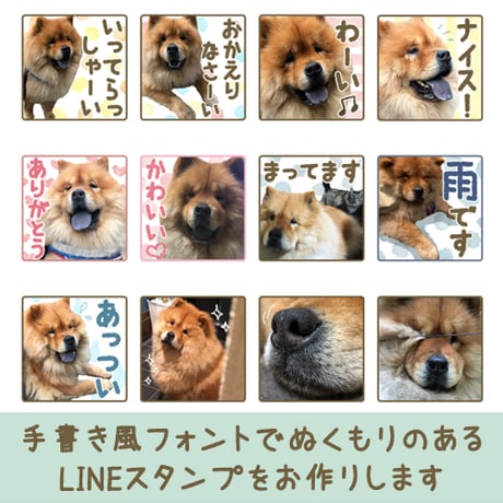 「うちの子」ペットさんのお写真からLINEスタンプおつくりします（８個セット）