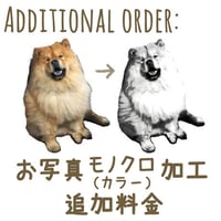 お写真加工　追加料金