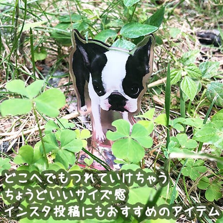 【うちの子グッズ】アクリルスタンド