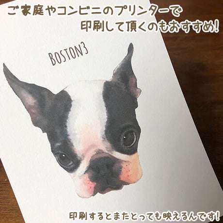 うちの子イラスト&グッズ制作ガイド　〜はじめにお読みくださいませ〜