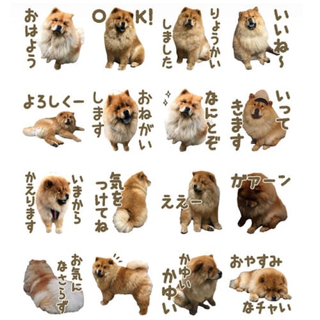 【完全おまかせパック】「うちの子」ペットさんのお写真からLINEスタンプおつくりします（８個セット）