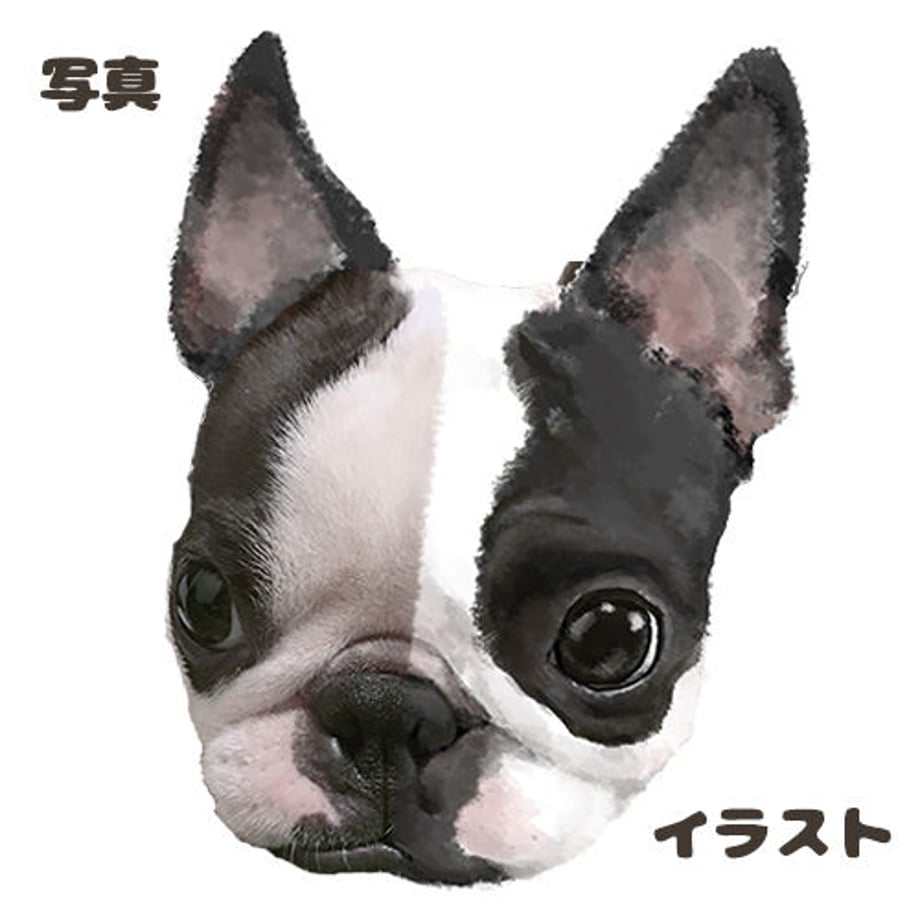 5f0b3ade13a48b411d2ae9f1