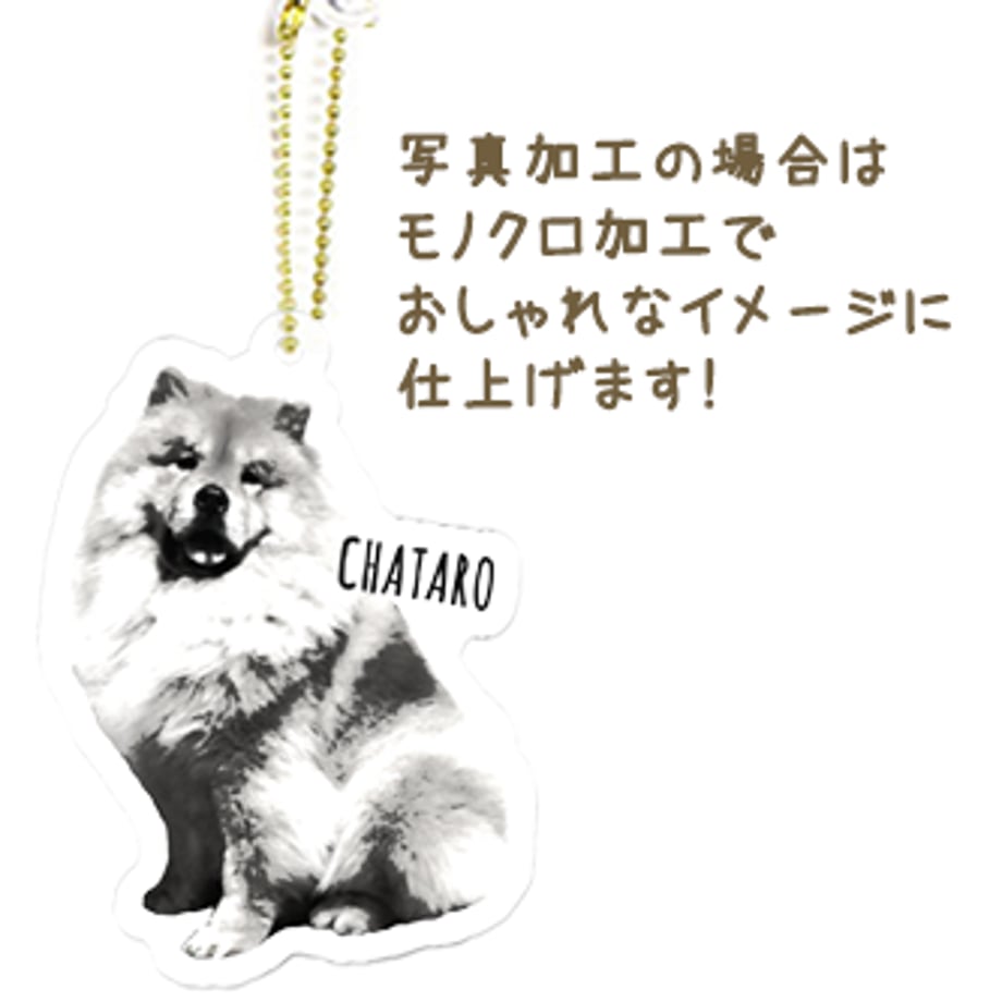 5f7b3a2c93f61969c308b747