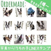 【完全おまかせパック】「うちの子」ペットさんのお写真からLINEスタンプおつくりします（８個セット）