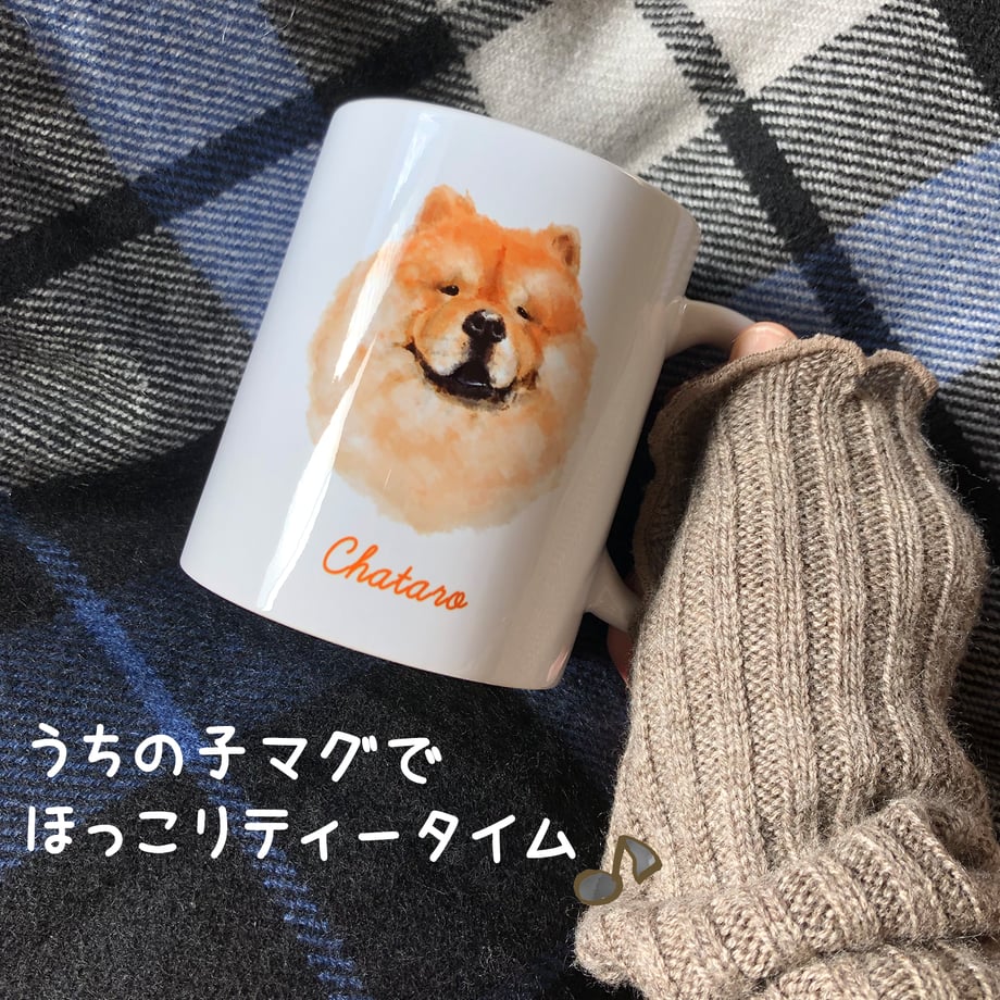 5f5e33558f2ebd684f6401c8