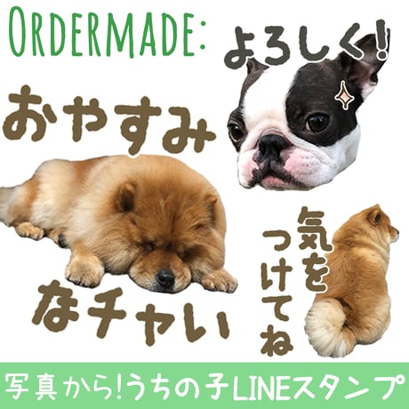 「うちの子」ペットさんのお写真からLINEスタンプおつくりします（８個セット）