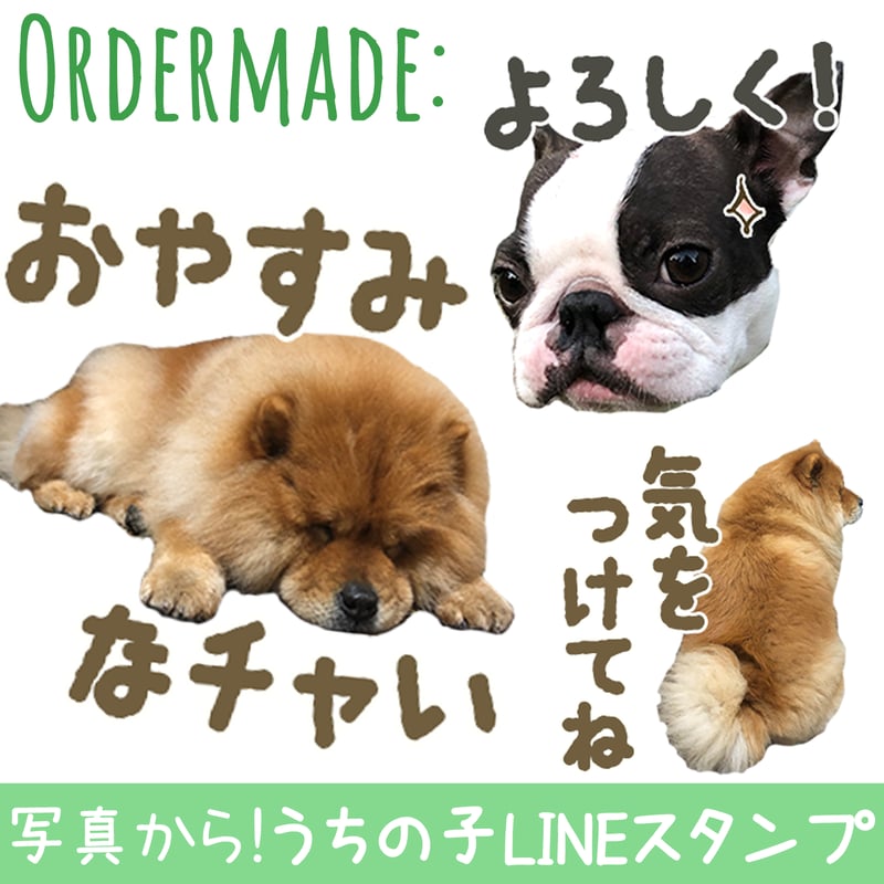 line creators クリアランス market ペットの写真