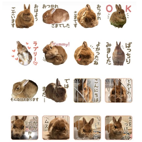 【完全おまかせパック】「うちの子」ペットさんのお写真からLINEスタンプおつくりします（８個セット）