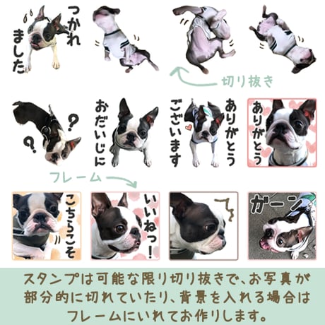 「うちの子」ペットさんのお写真からLINEスタンプおつくりします（８個セット）