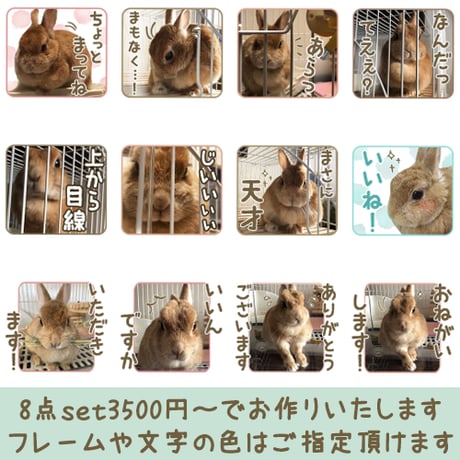 「うちの子」ペットさんのお写真からLINEスタンプおつくりします（８個セット）
