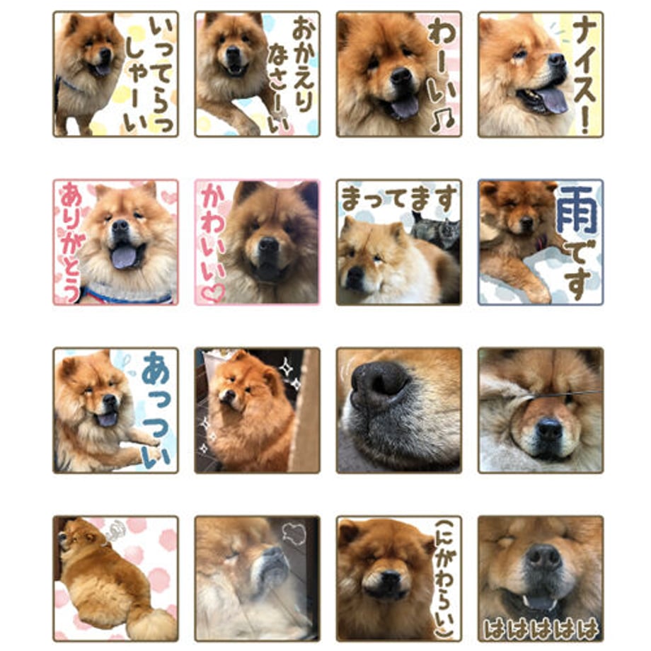 60e165570079060d4fa74ad5