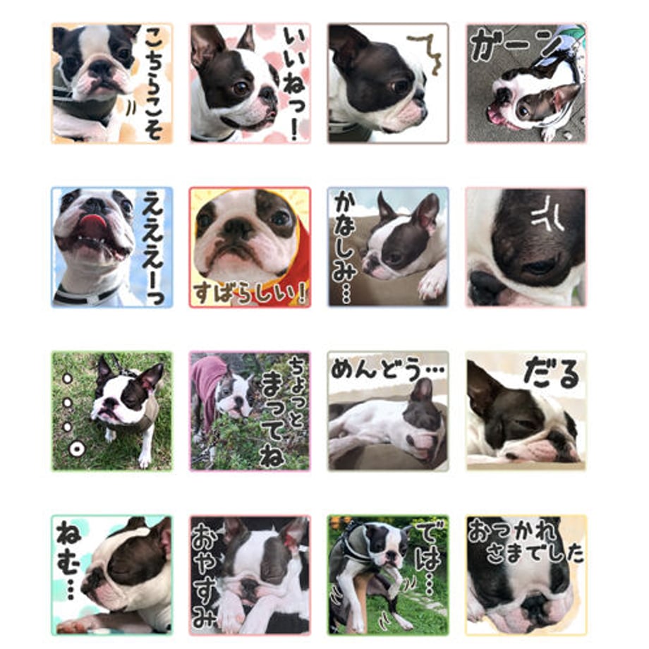 60e165570079060d4fa74ad5