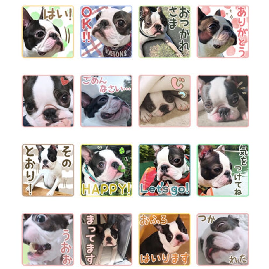 60e165570079060d4fa74ad5