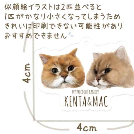 【うちの子グッズ】アクリルボールチェーン５個セット