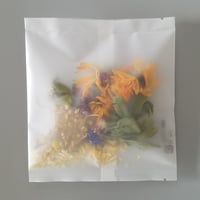 BOTANICAL-ワイルドフラワーメドウ