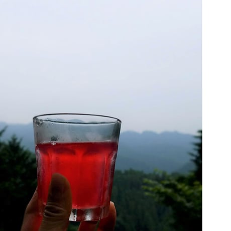 Natural Sports Drink