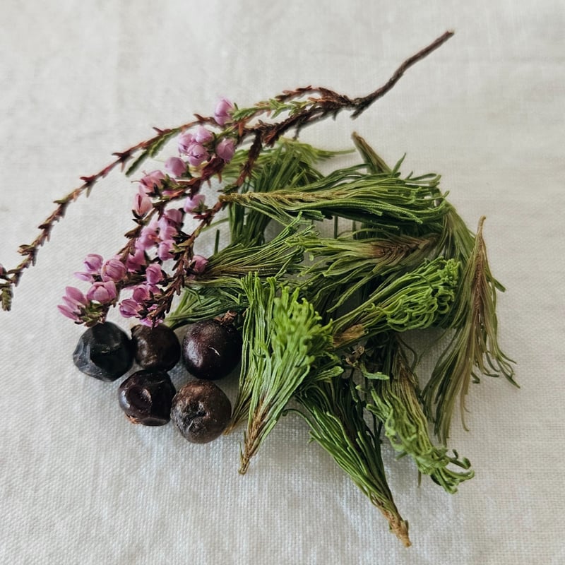 BOTANICAL-針葉樹の森 | soma herb