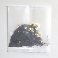 BOTANICAL-白梅花×烏龍