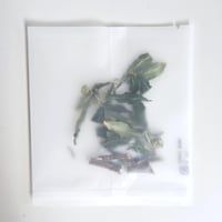 BOTANICAL -クロモジの花芽茶