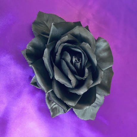 ⭐︎　ブラックローズのみ List of Japanese Weiss Schwarz Rose Singles Page 14| Buy from TCG