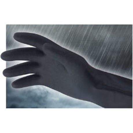 SHOWA / TEMRES テムレス 02winter