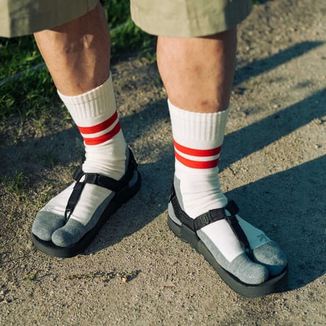 RAL ラル ／ Tabby Socks 2025