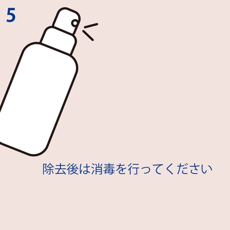 オーベックス ／ エレクティック