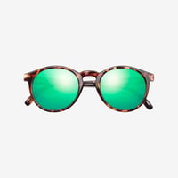 SUNSKI サンスキー ／ Dipsea Tortoise Emerald
